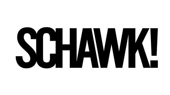 shawk logo
