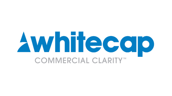 whitecap consulting logo