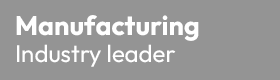 IT Audit Manager 